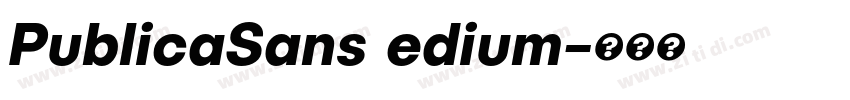 PublicaSans edium字体转换